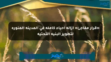 «قرار مفاجئ» إزالة أحياء كاملة في المدينة المنورة لتطوير البنية التحتية